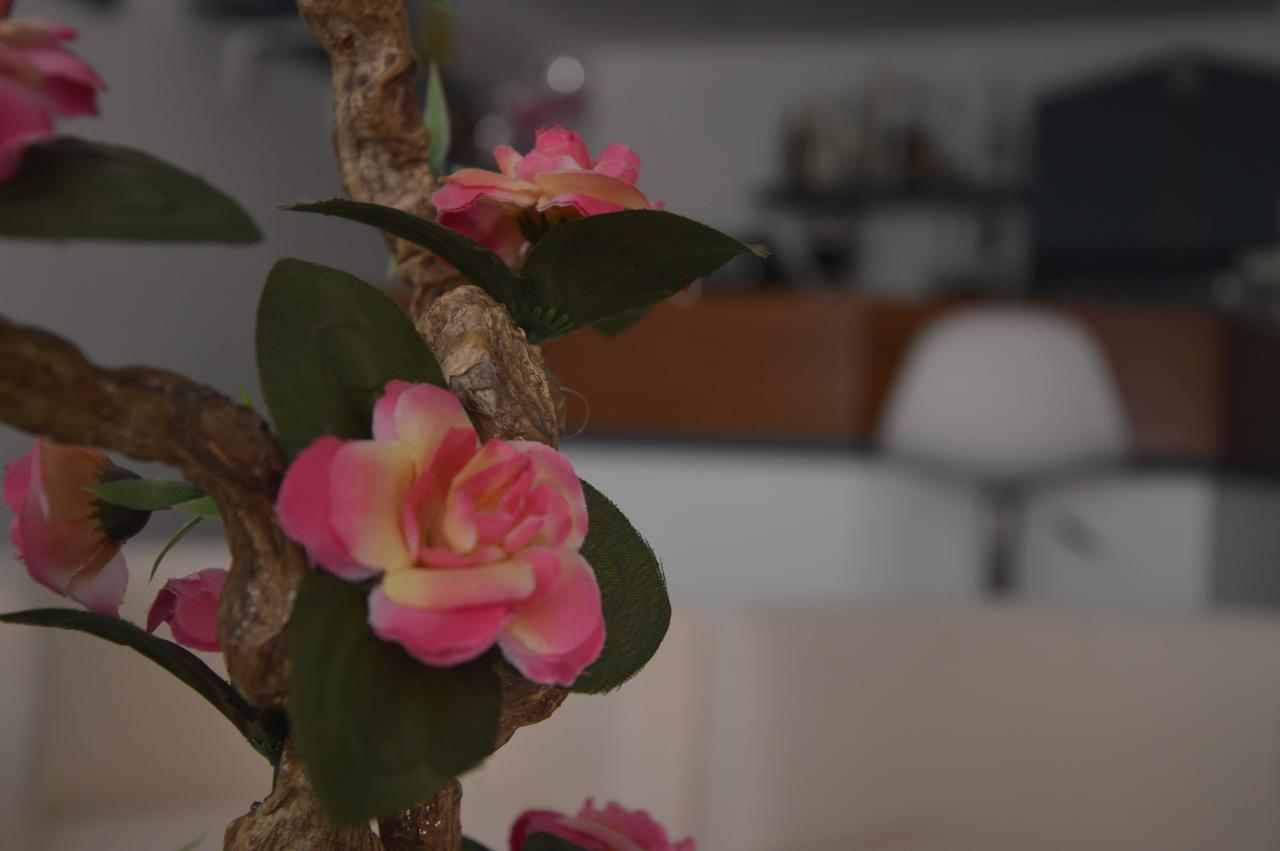 Hotel Fucsia Riccione Kültér fotó